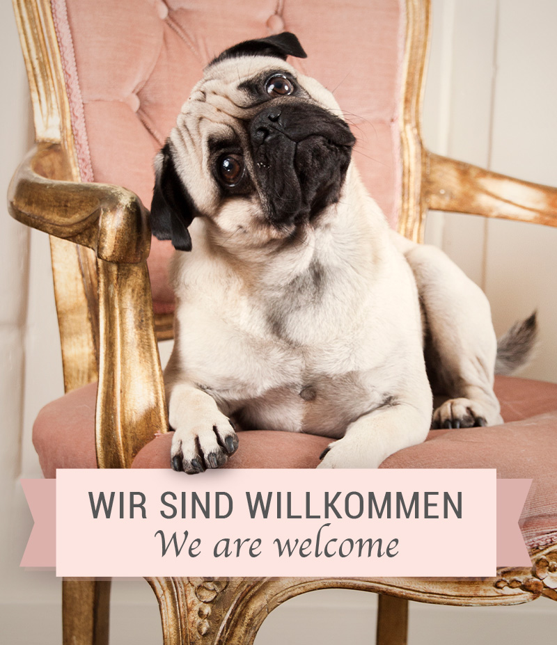 cafe-crumbles-hunde-willkommen-dogs